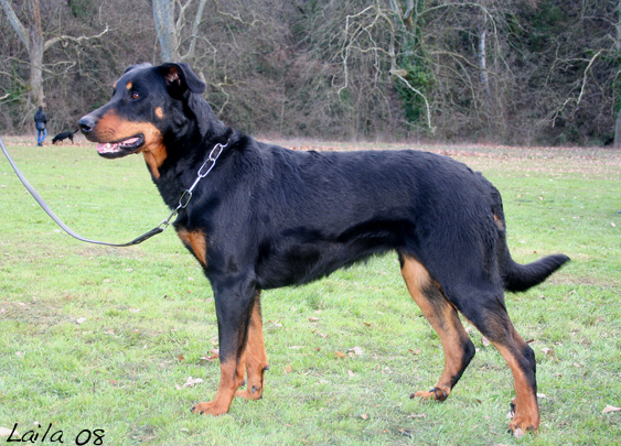 Bahia du Pla de la Jasse