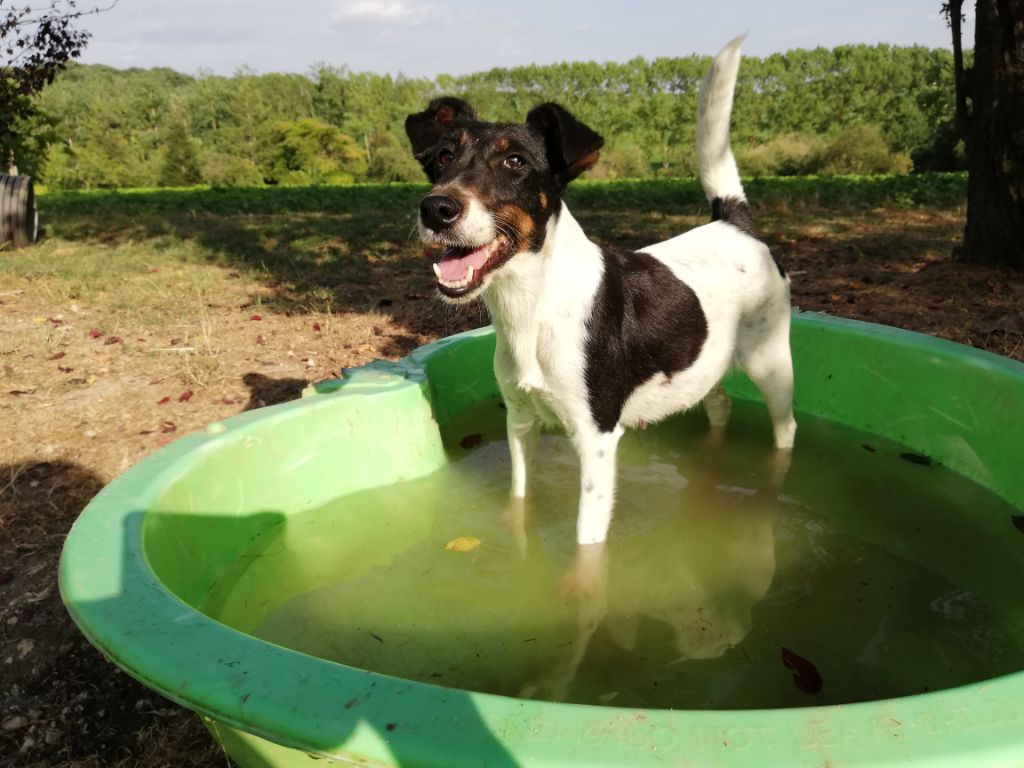 Lethik des Liens du Feu