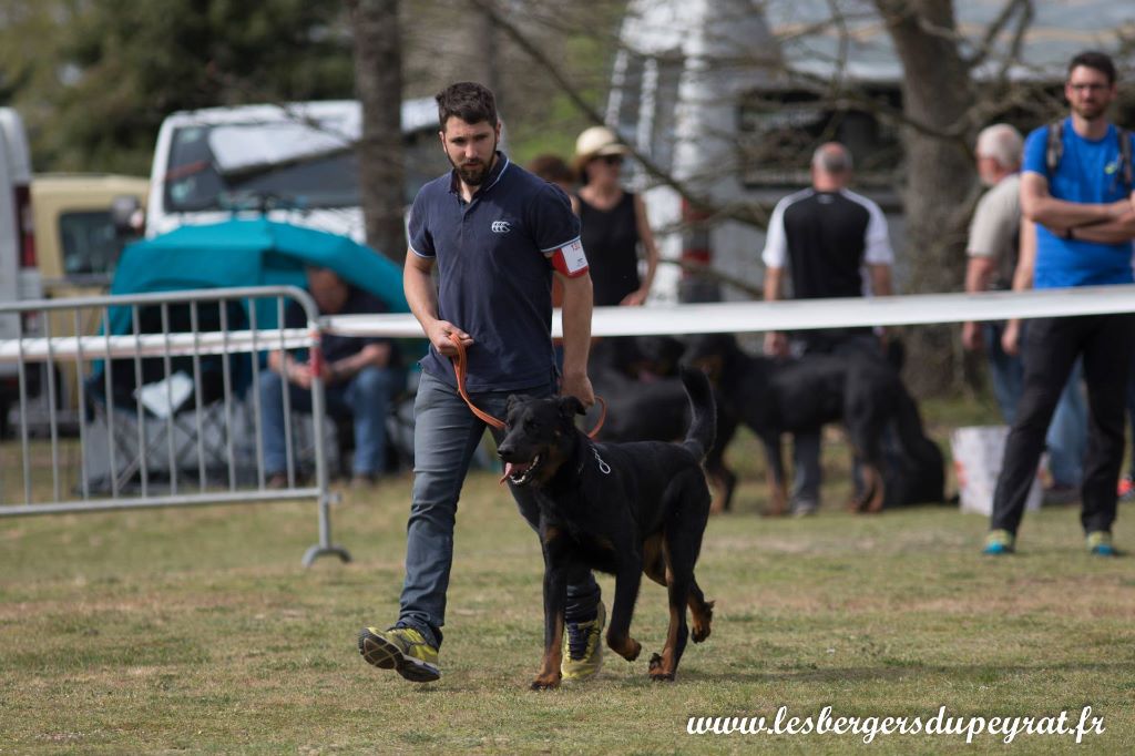 Nationale d'Elevage 2019